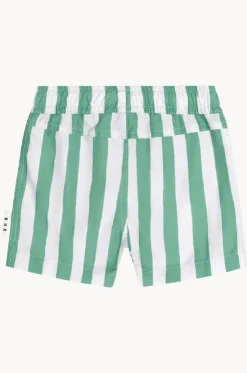 Boys Cabana Stripe Swim Short