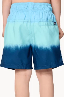 Boys Dip Volley Boardshort