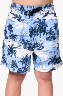 Boys Dreamers Volley Boardshort