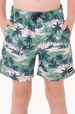 Boys Dreamers Volley Boardshort