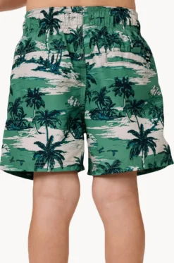 Boys Dreamers Volley Boardshort