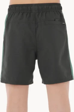 Boys Tropic Daze Panel Volley Boardshort
