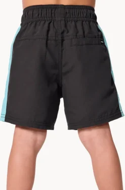 Boys Wave Dayz Panel Volley Boardshort