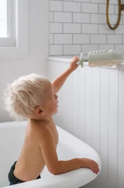 Crocodile Water Squirter