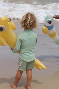Finn The Fish Inflatable Noodle Set