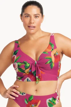 Le Recife Cezanne D/DD Cup Midriff Bra