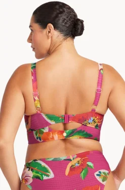 Le Recife Cezanne D/DD Cup Midriff Bra
