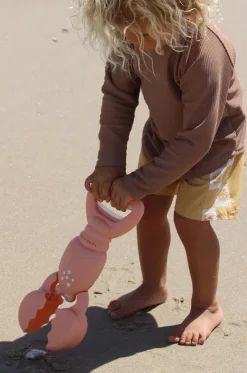 Lobster Sand Claws