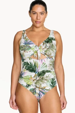 Lushara Cezanne D/DD Cup One Piece