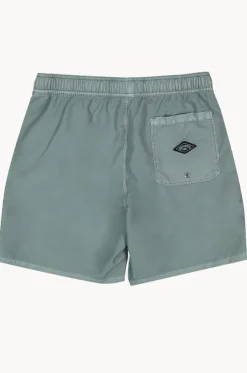 Mens All Day Overdye Layback Boardshort