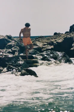 Mens Coffs Sydney Boardshort