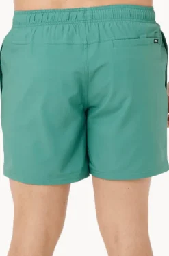 Mens Daily Volley Boardshort