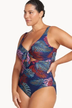 Nu Ornare Cezanne D/DD Cup One Piece