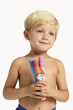 Paw Patrol Dive Sticks
