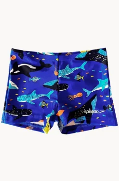 Toddler Boys Shark Aquashort