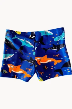 Toddler Boys Shark Aquashort